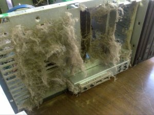 269943_2163219849378_780132_n